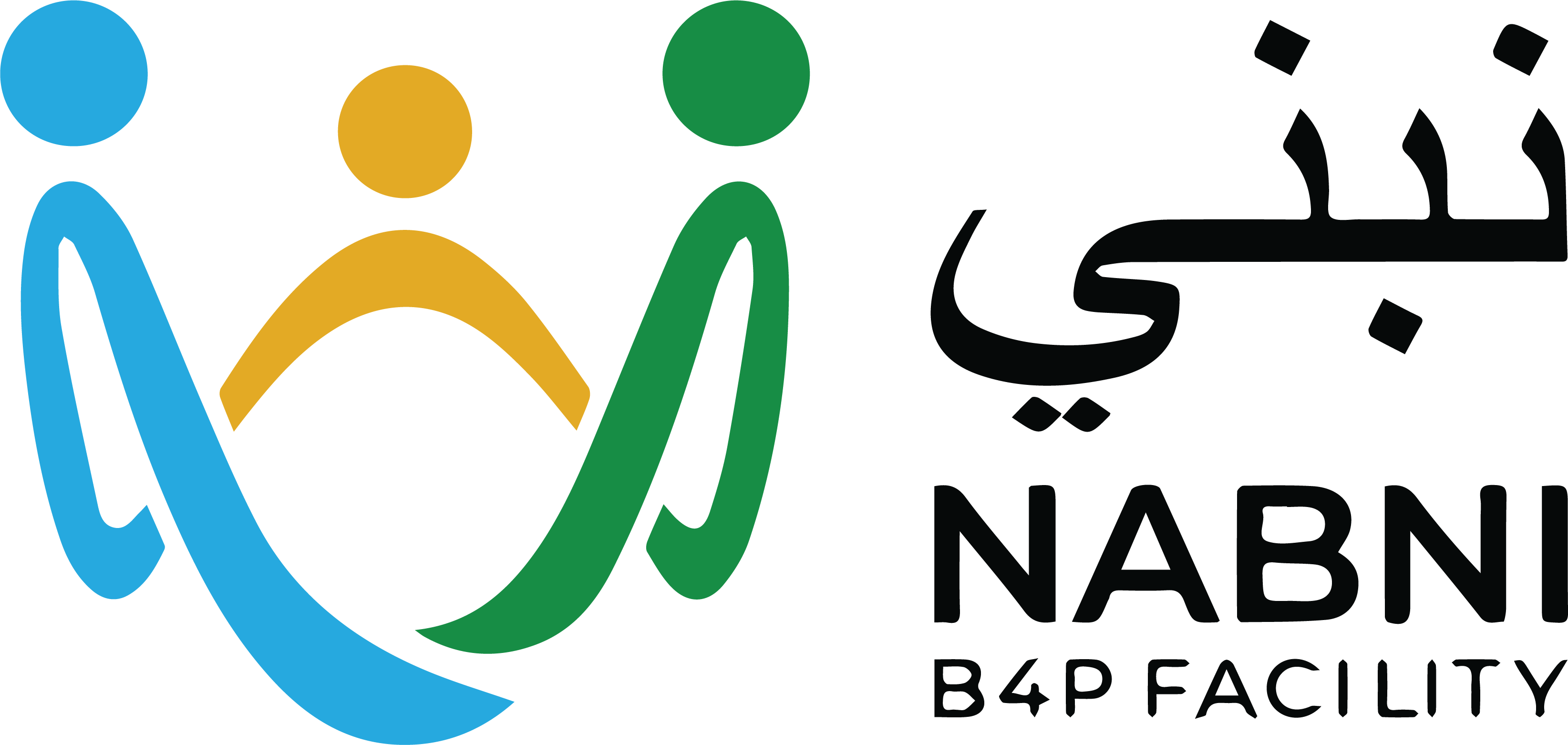 Building for Peace Fascility (NABNI)